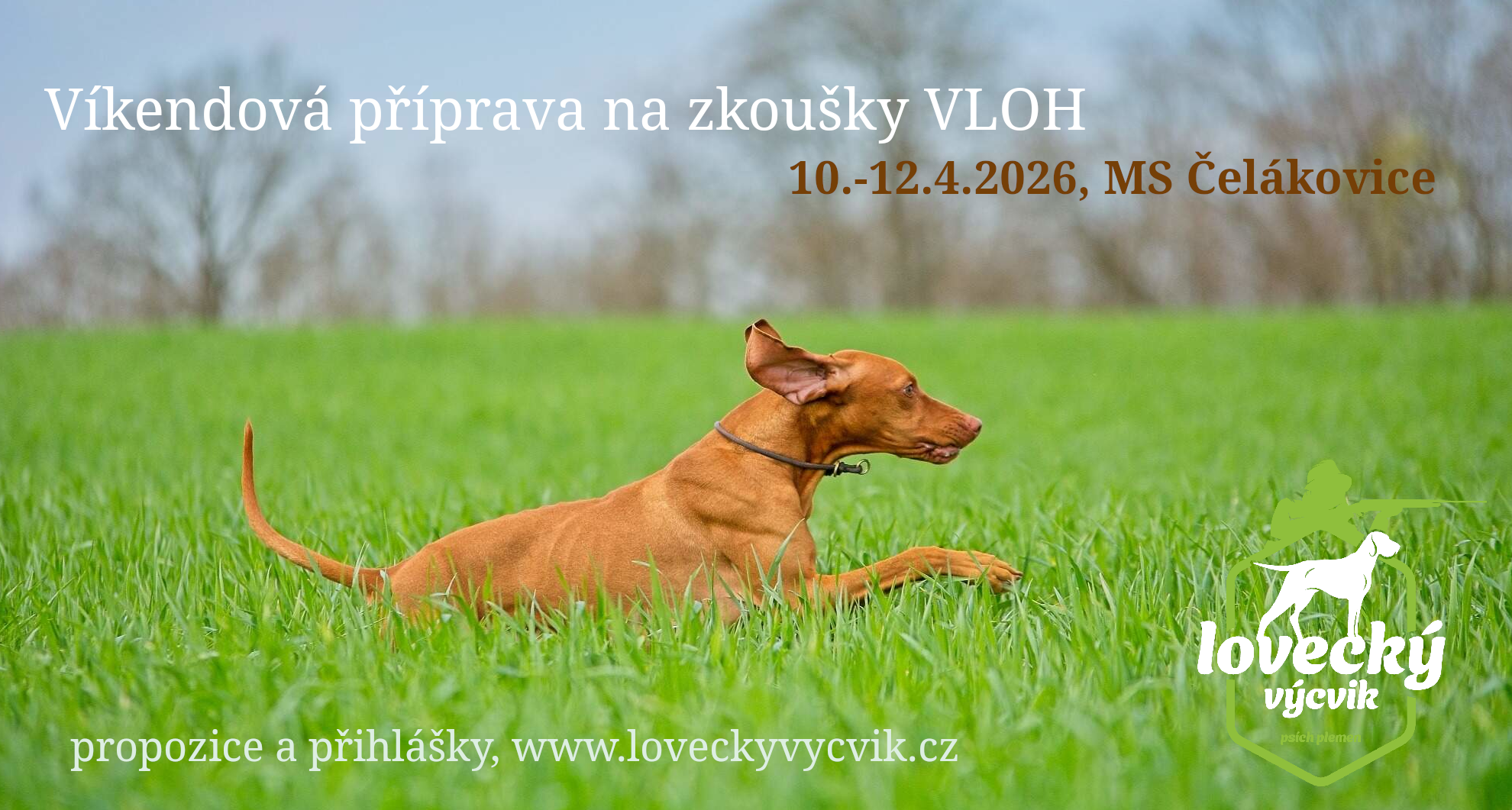 ZV