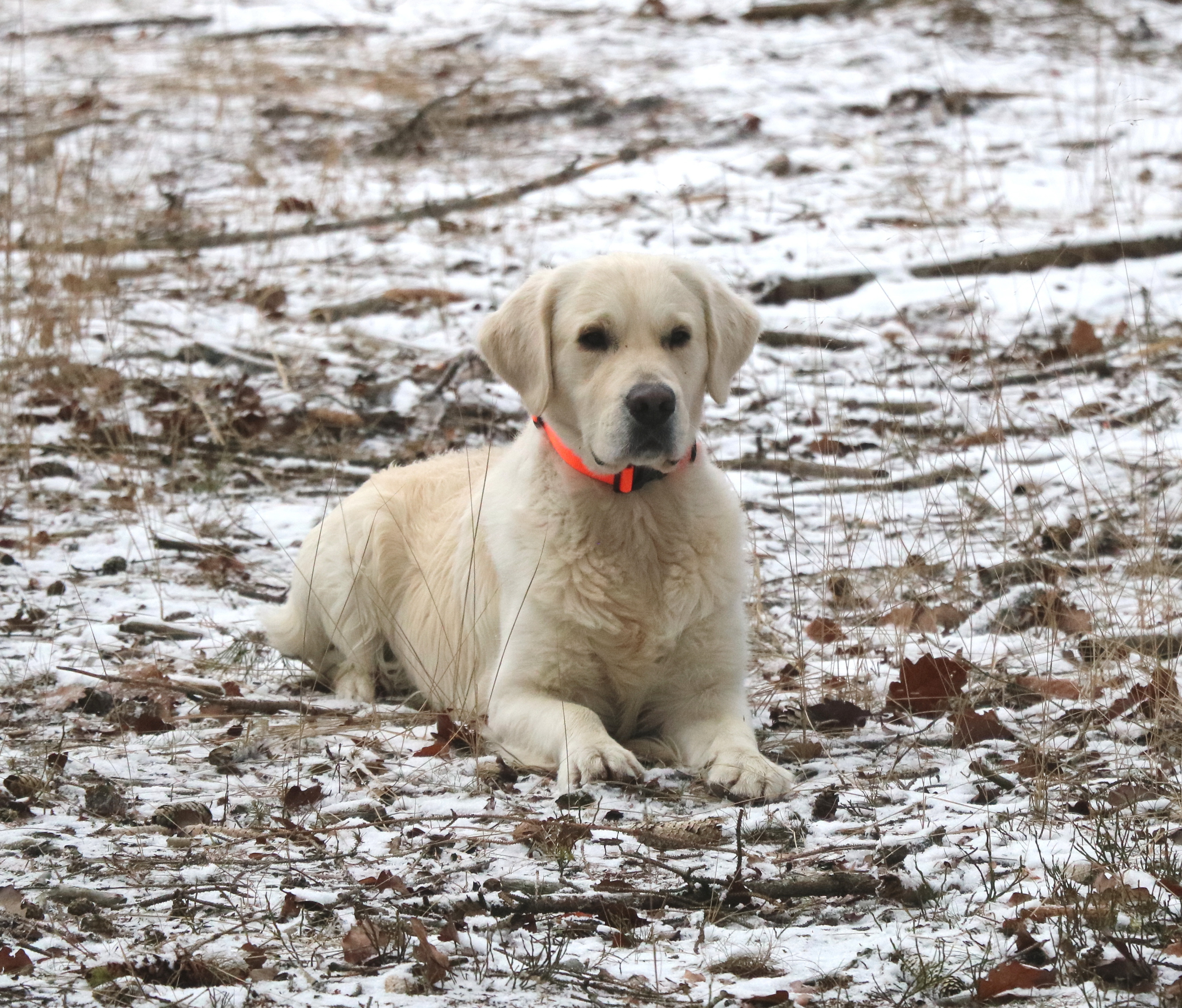 Charlie